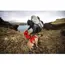 Ruffwear Palisades™ Dog Backpack in Red Sumac (Medium) image 4