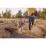 Ruffwear Trail Runner™ Belt in Blue Pool (Small / Medium) image 8