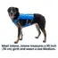 Ruffwear Trail Runner™ Dog Running Vest in Blue Pool (Medium) image 6