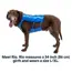 Ruffwear Trail Runner™ Dog Running Vest in Blue Pool (Medium) image 7