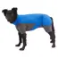 Ruffwear Vert™ Coverall Dog Snow Suit in Blue Pool (Medium) image 4