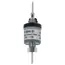 Truma Metering Pump 12v image 1